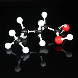 鏈狀分子模型