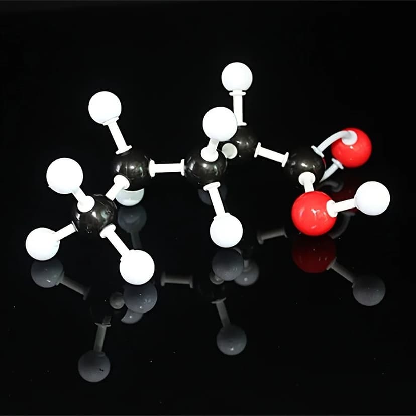 鏈狀分子模型